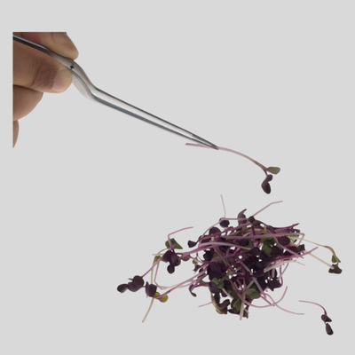 J.B. Prince U924 B Offset Fine Tip Tweezer 6.5 Inches